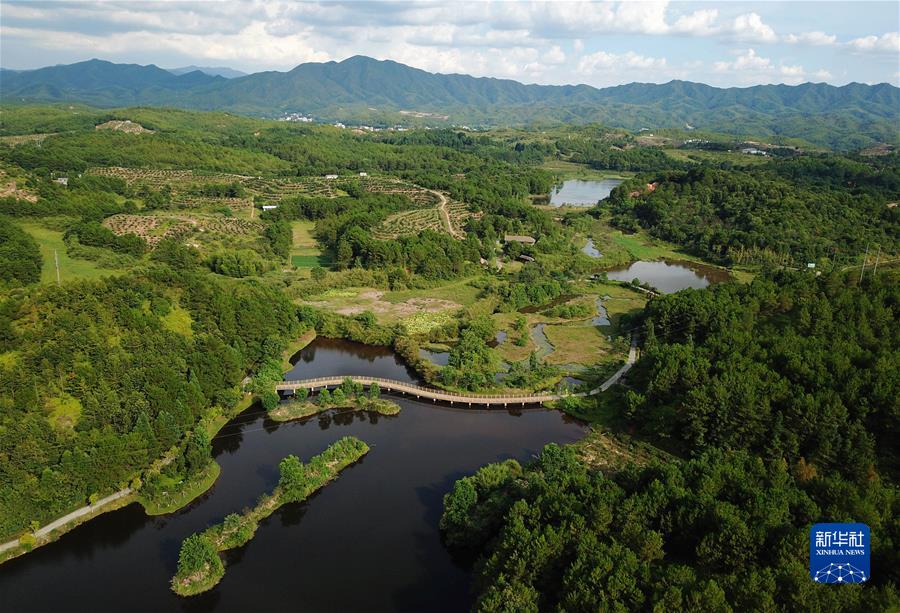 （新華全媒頭條·奮進新征程 建功新時代·非凡十年·圖文互動）（6）福建：搶抓機遇謀發(fā)展 奮力譜寫新篇章