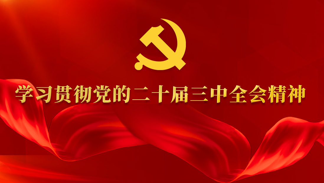 學(xué)習(xí)貫徹黨的二十屆三中全會(huì)精神
