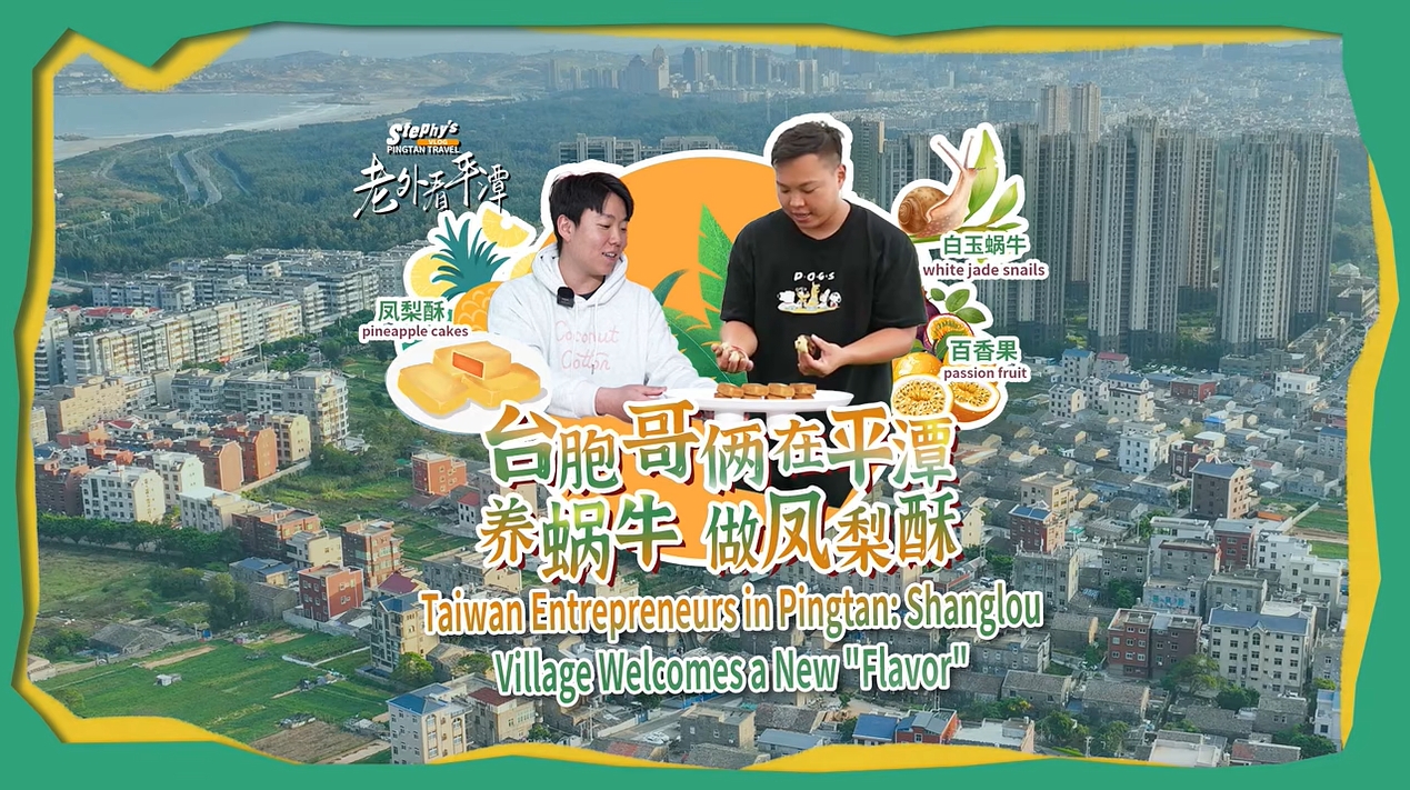 老外看平潭丨臺(tái)胞哥倆在平潭養(yǎng)蝸牛、做鳳梨酥